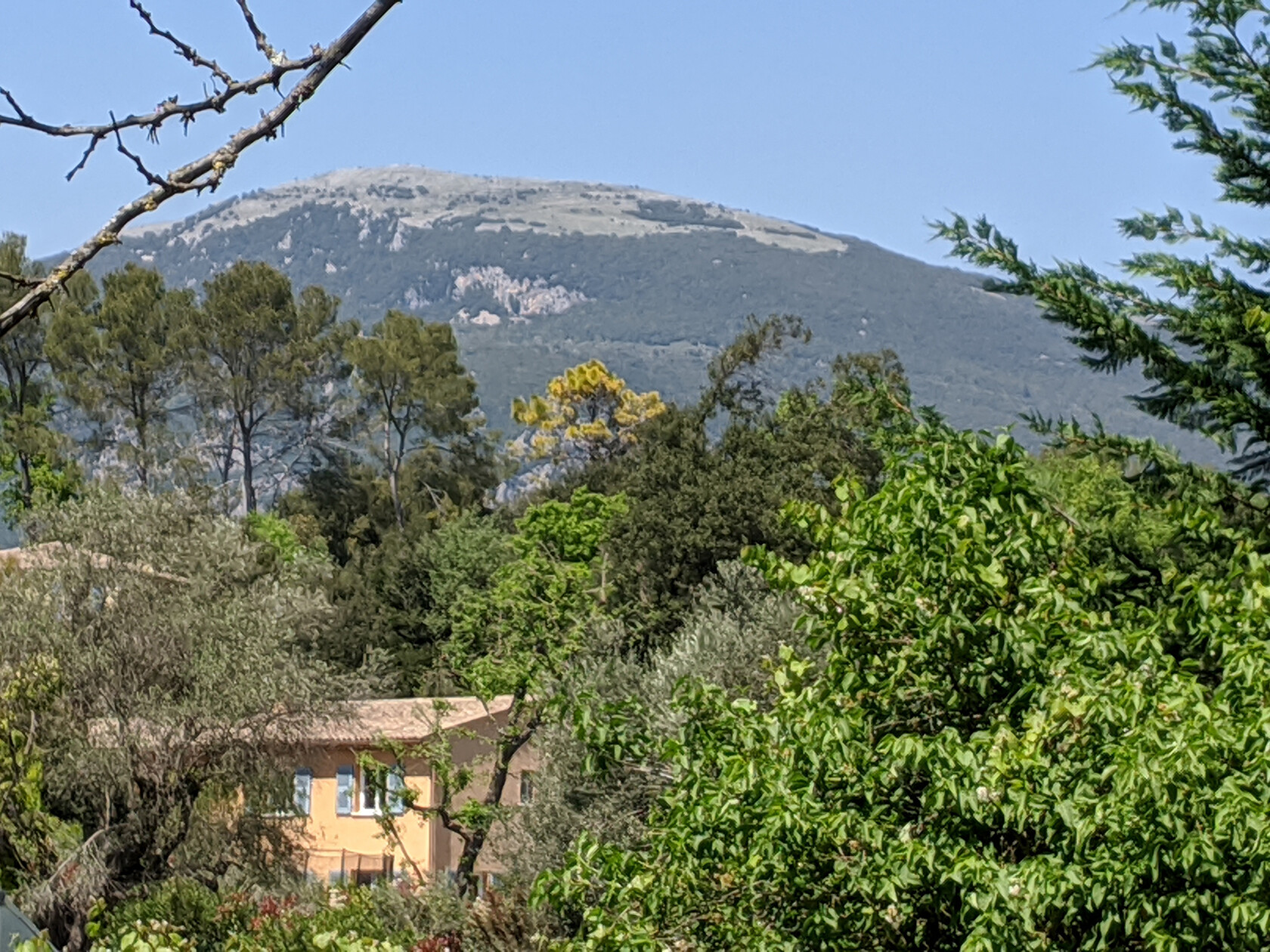 Lou Messugo surrounded by forest and mountains