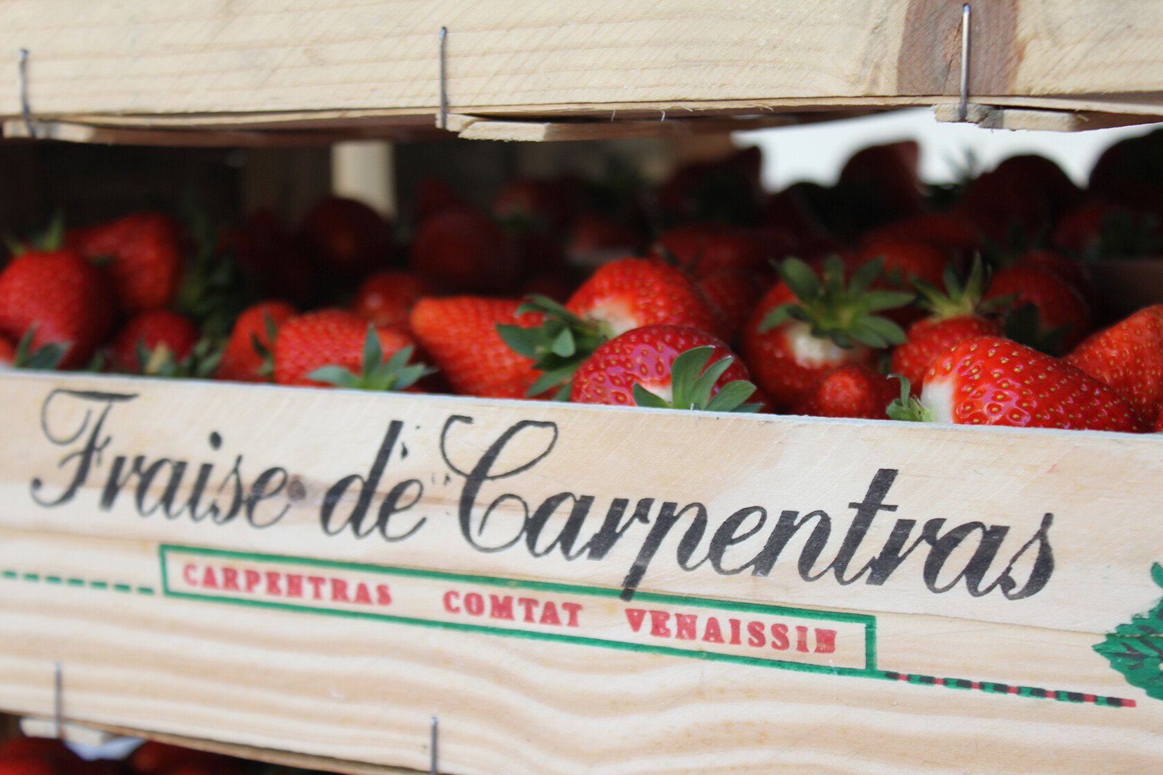 Rent Our Home Provence Carpentras strawberry festival
