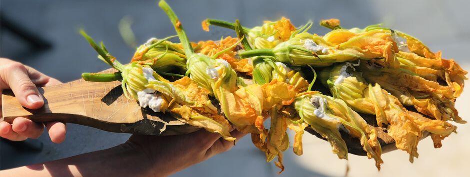 Stuffed Zucchini Flowers Recipe