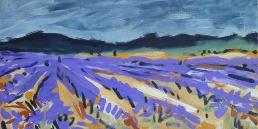 Lavender Fields Sault Miriam Hartmann
