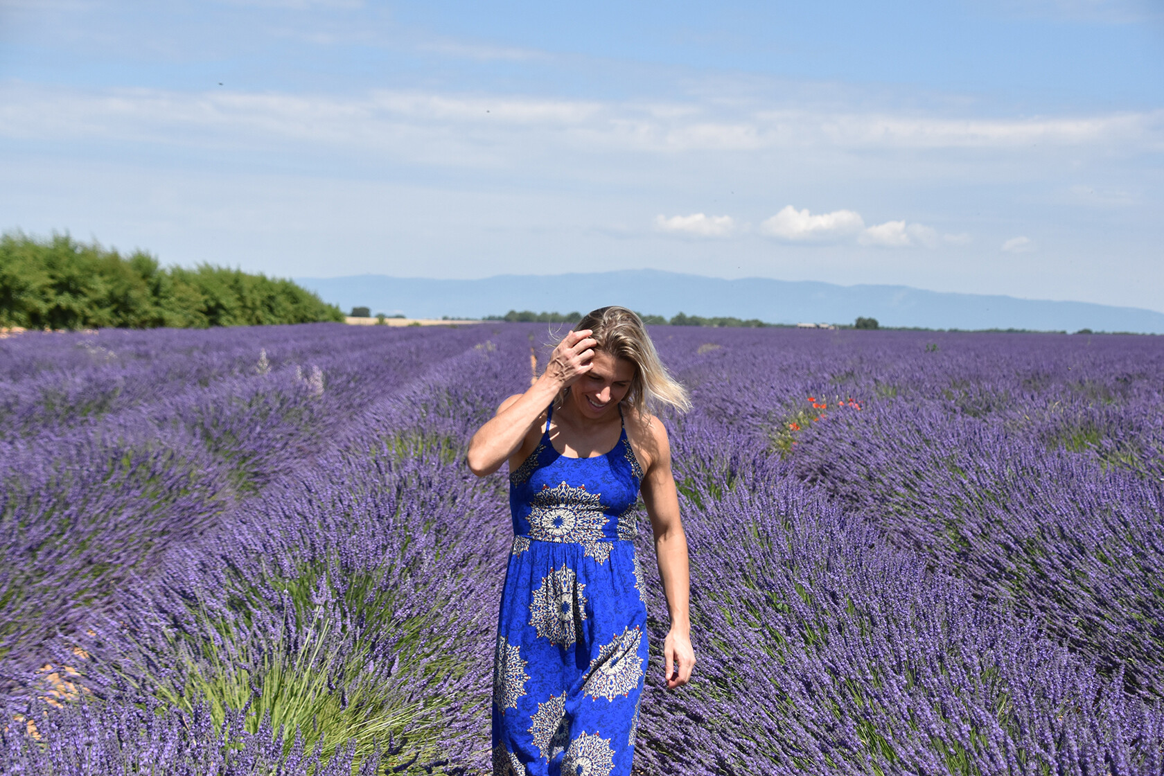 Audrey Archambault lavender field