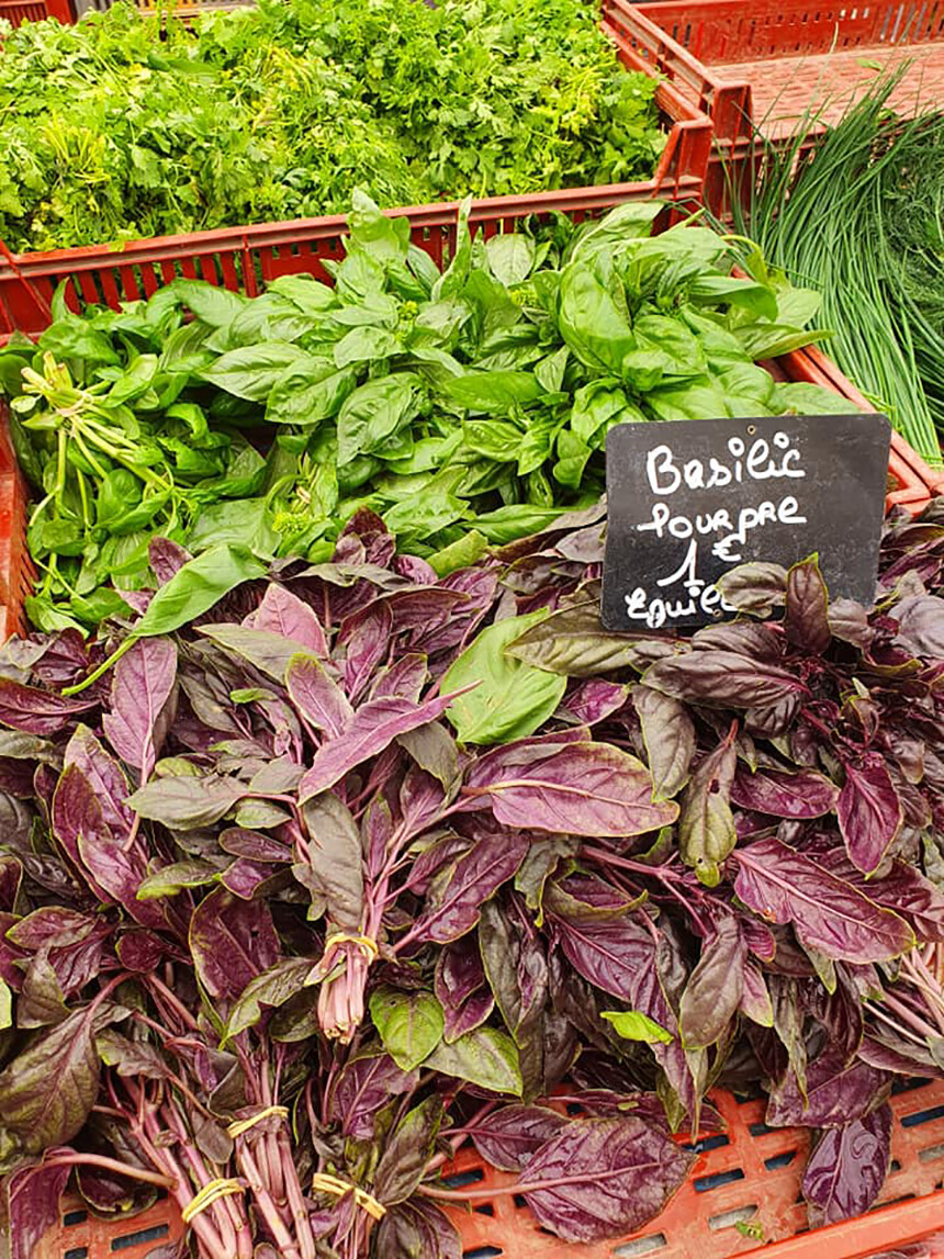 Food Markets Aix-en-Provence Purple Basil Nutrition