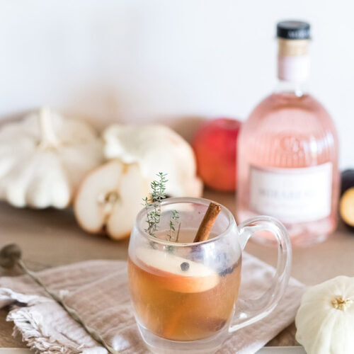 Hot Apple Punch Gin Cocktails