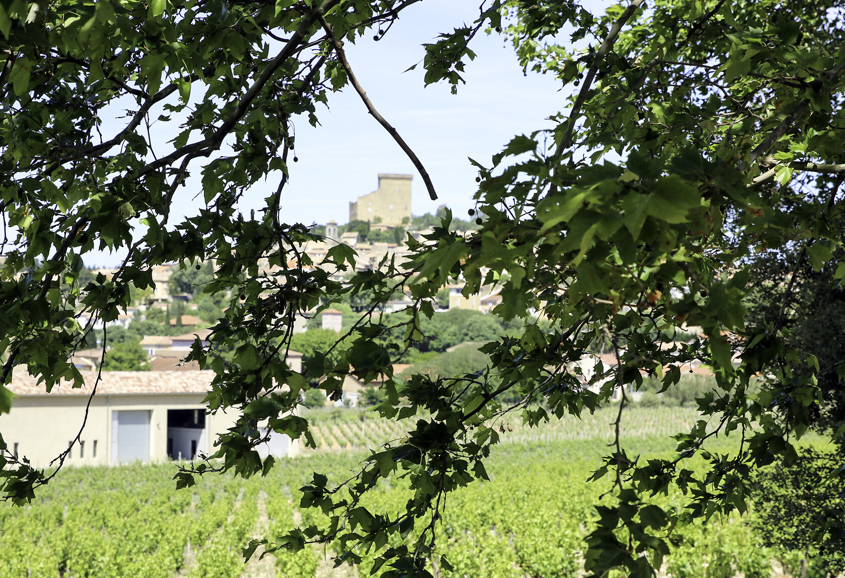 Châteauneuf-du-Pape Wine Tours Provence