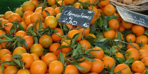 Christmas Markets Provence Clementines