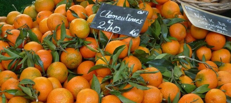 Christmas Markets Provence Clementines