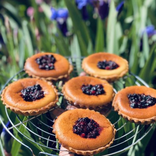 Almond tarts with red berries (Tartes Amandine aux fruits rouges)