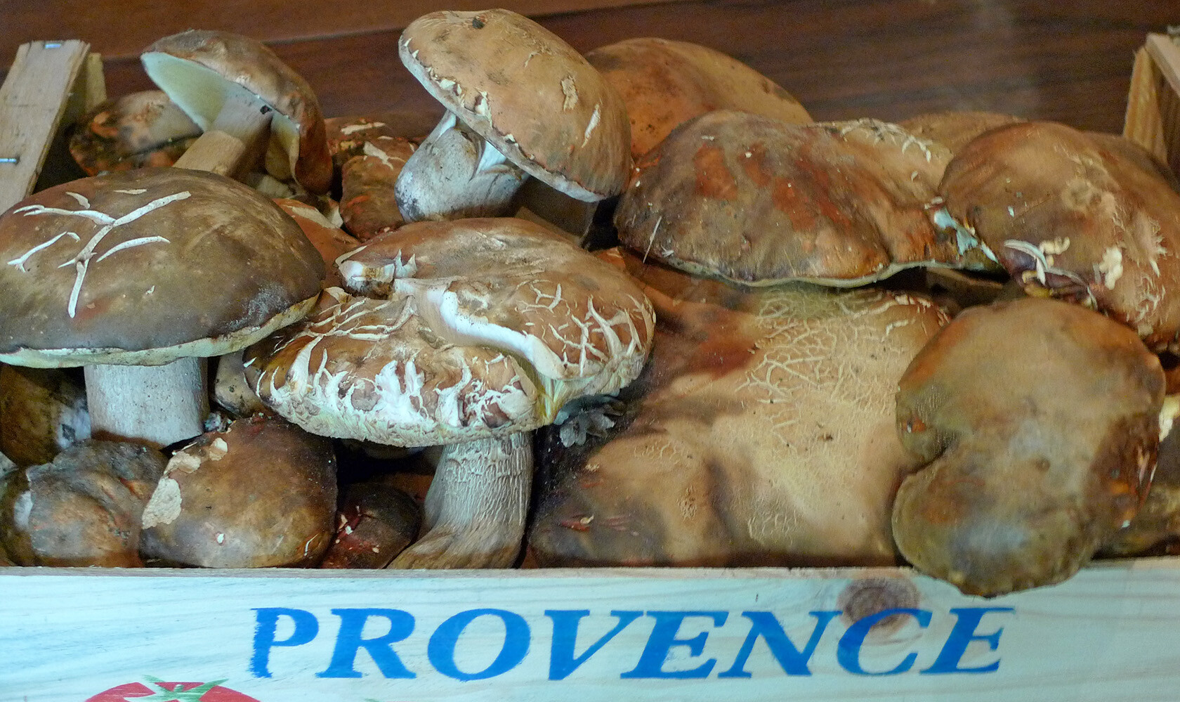 Wild Mushrooms Provence