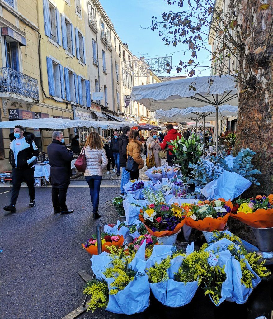 A visit to Avignon France
