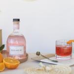 Traditional Negroni Cocktail