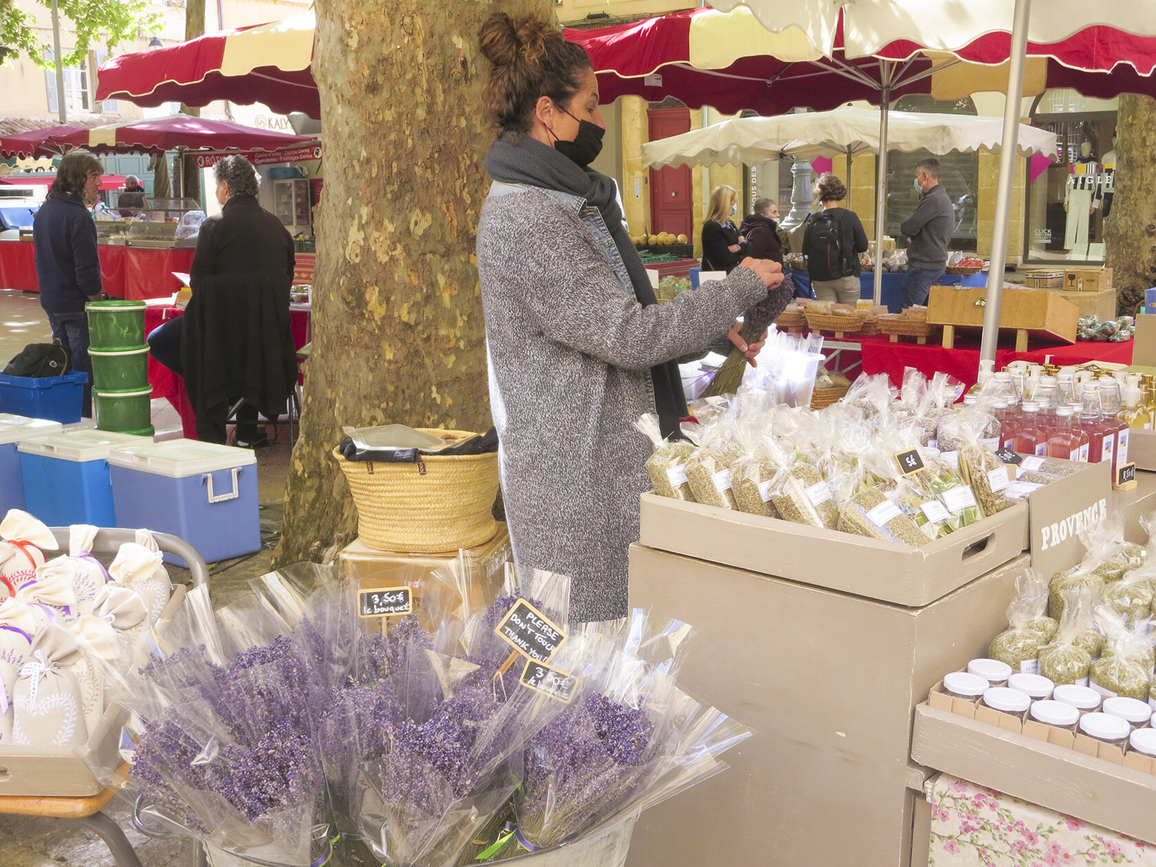 Aix-en-Provence Market Lavender