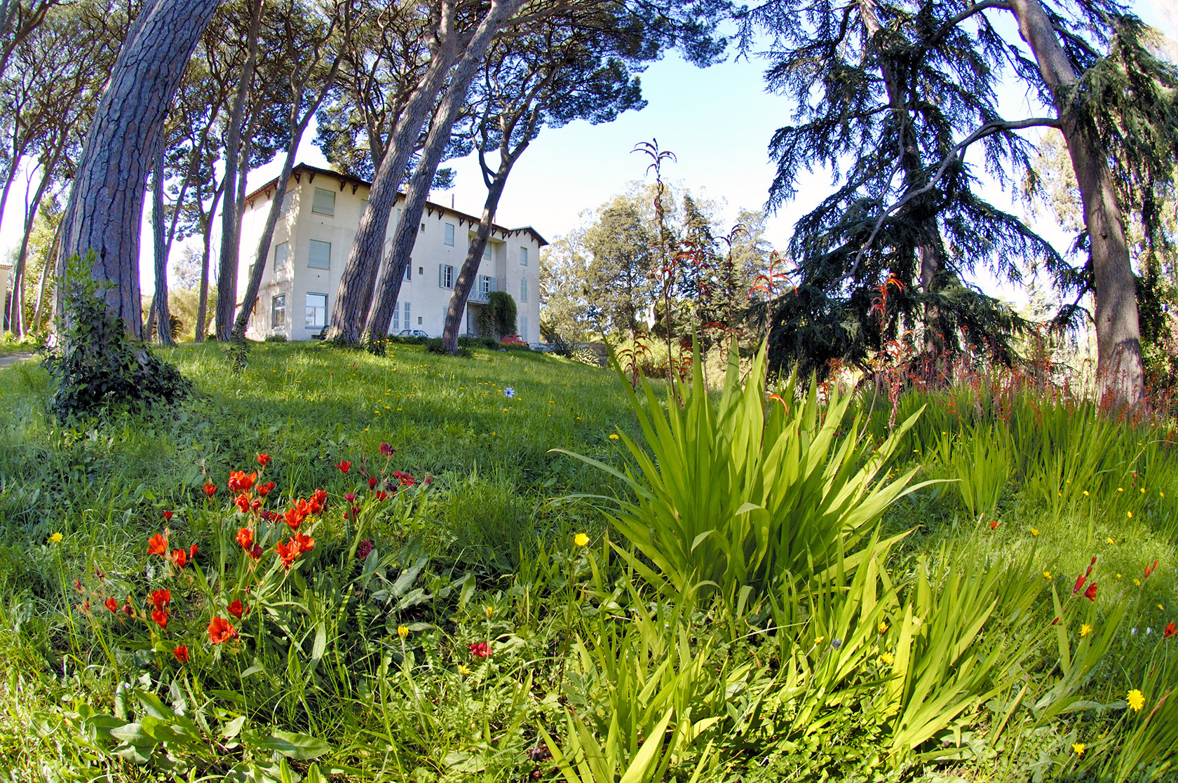 Jardin botanique de la Villa Thuret 006©INRA sized