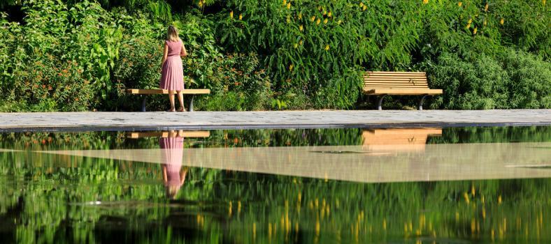 Remarkable Mediterranean Gardens Coast Nice Public Gardens