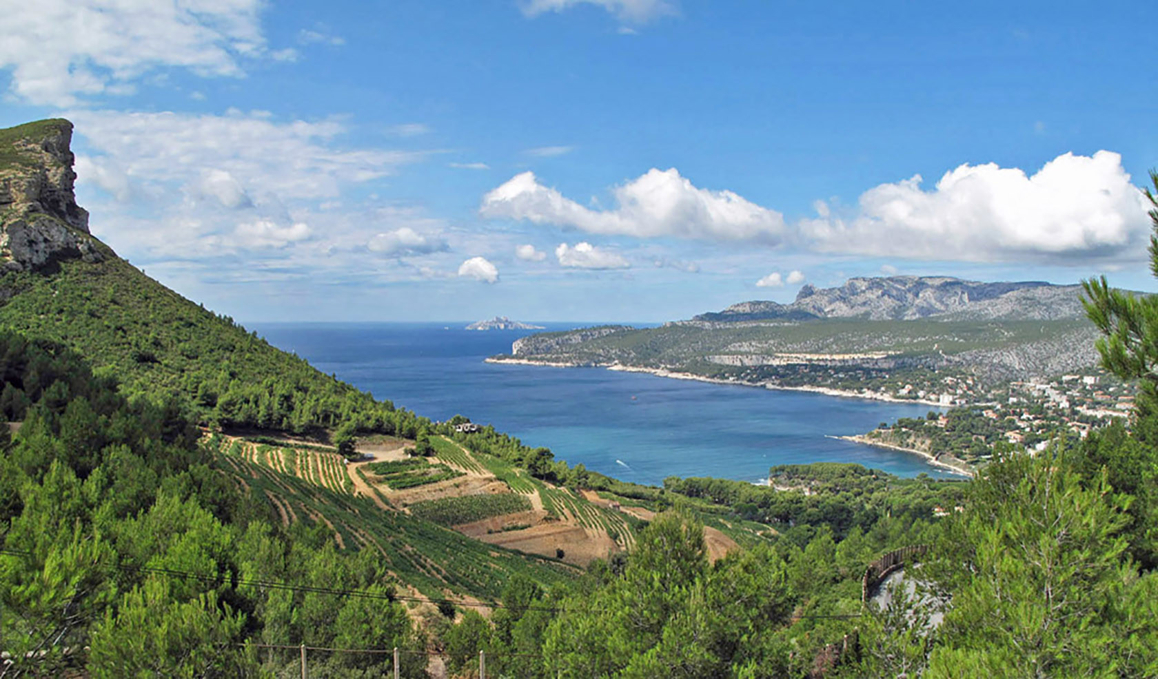 Cassis The Wines of Provence – Tricolour