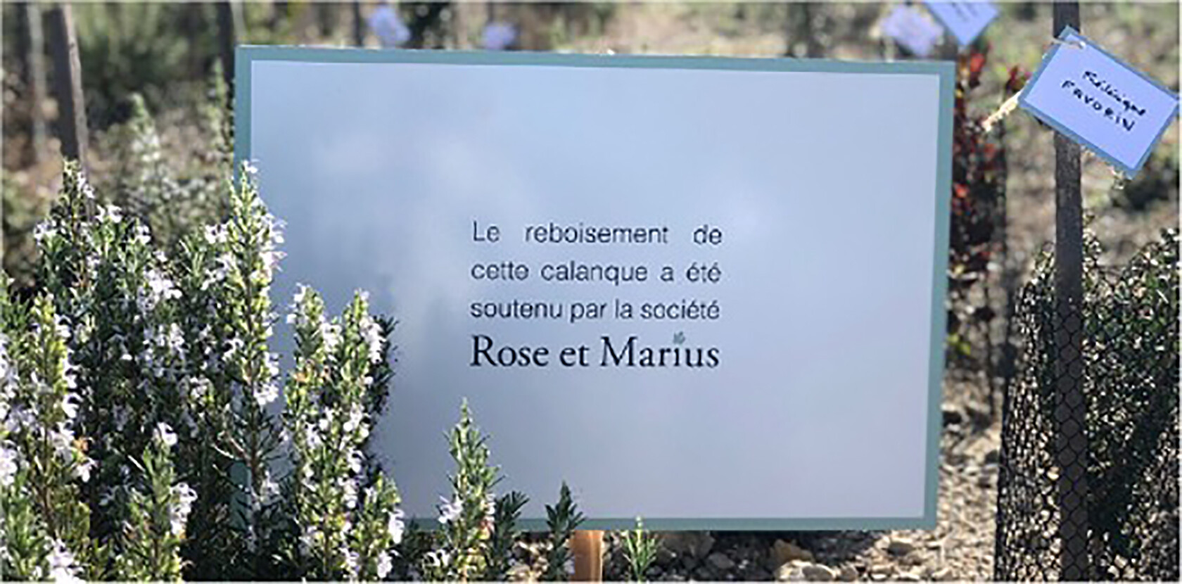 Philosophie Rose et Marius