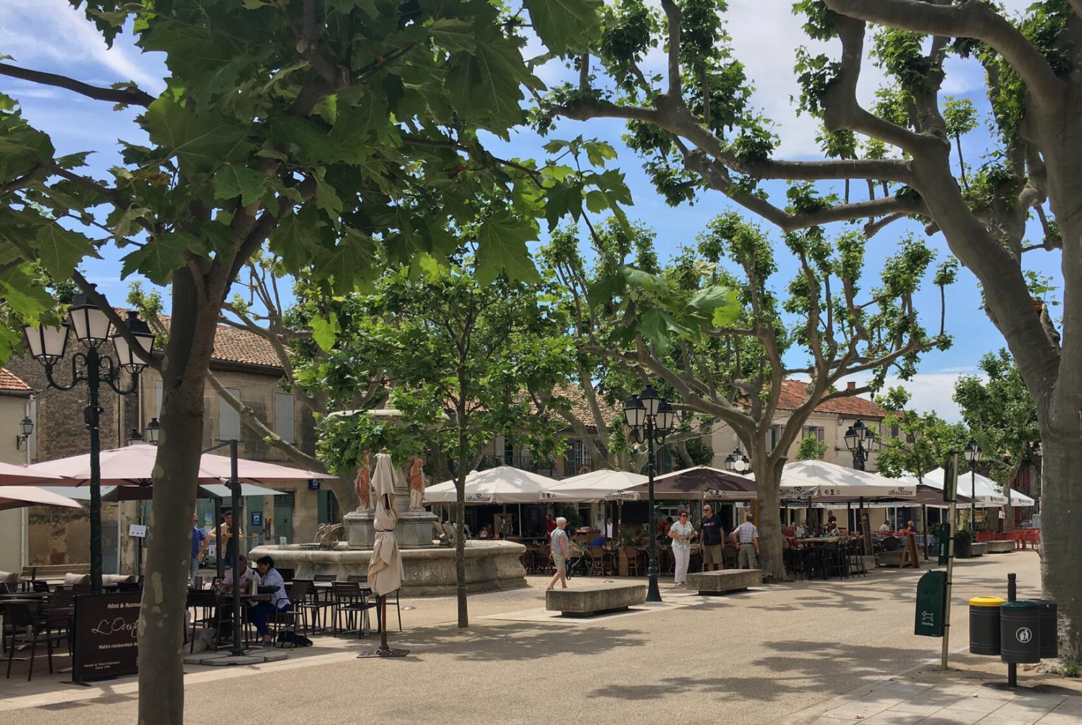 When You Visit MaussanelesAlpilles Perfectly Provence