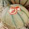 Provence Best Melon Cavaillon Melon