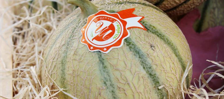 Provence Best Melon Cavaillon Melon