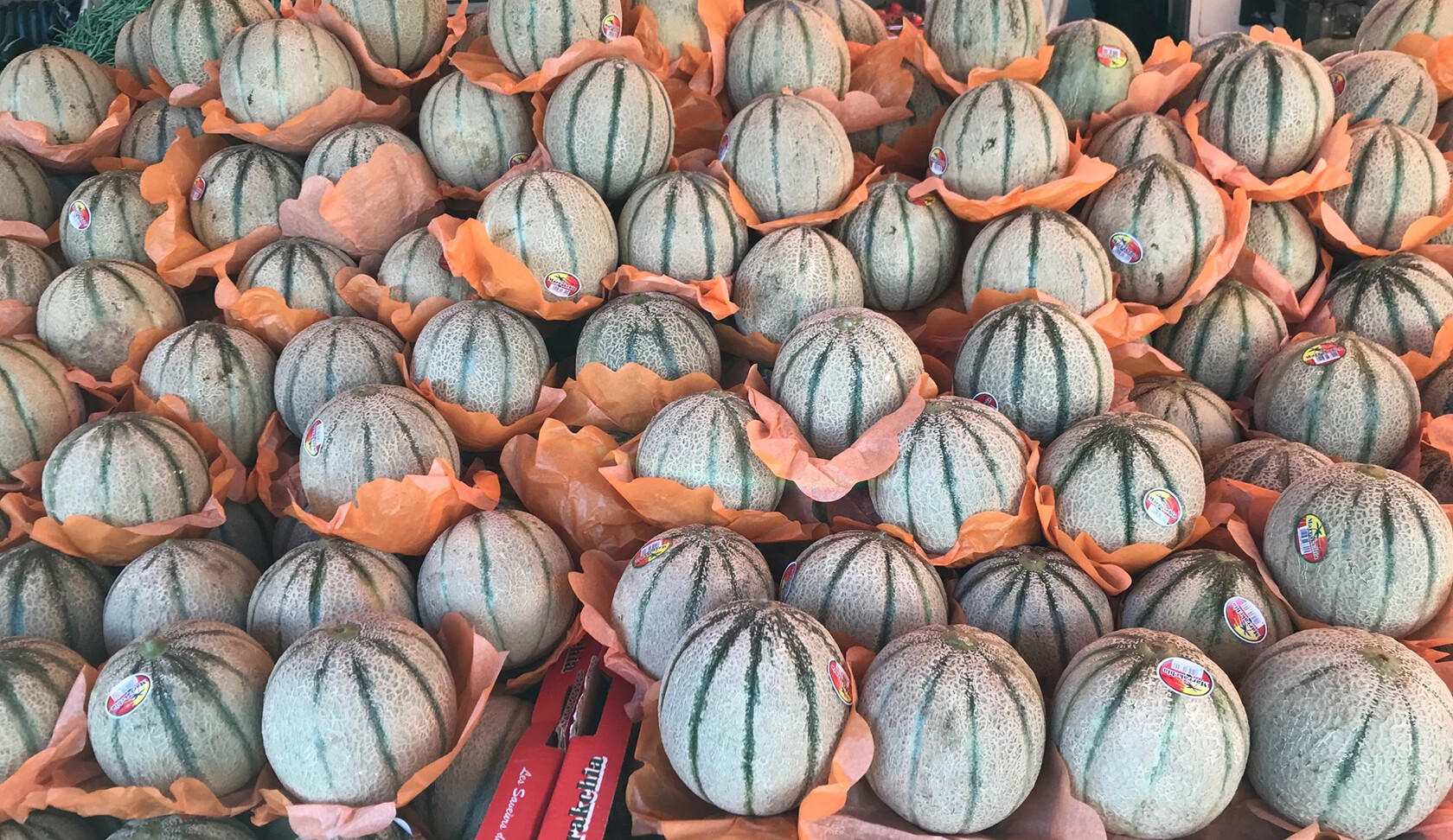 Provence Best Melon Cavaillon