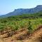 Vendanges Grape Harvest Provence