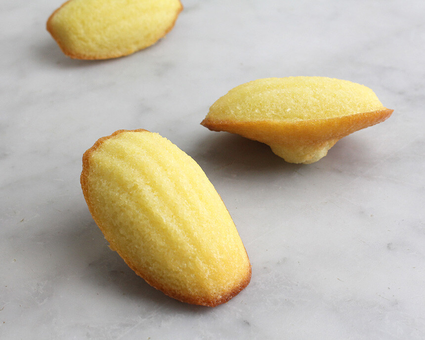 Classic French Madeleines (step by step)