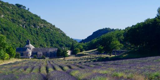 Move to Provence Remote Work james-orr unsplash