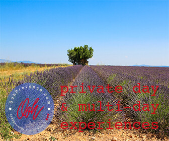 Provence City Tours