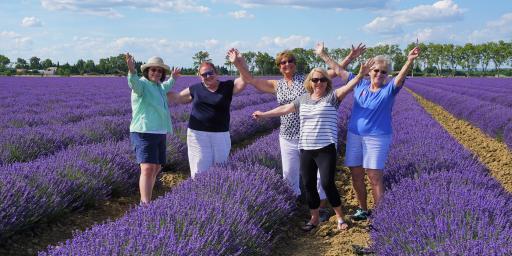 Join TripUSAFrance Tours Lavender