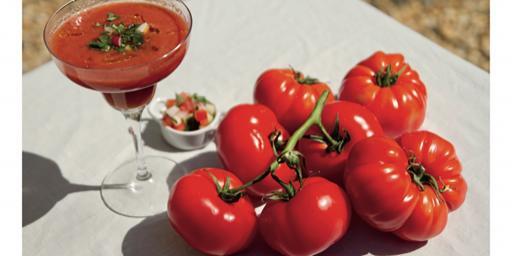 Tomato Gazpacho Soup Recipe