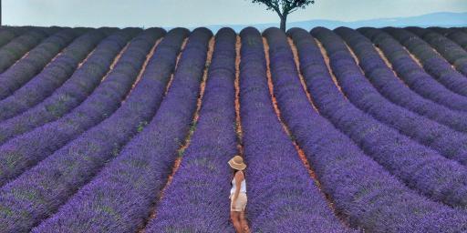Beautiful places in Provence