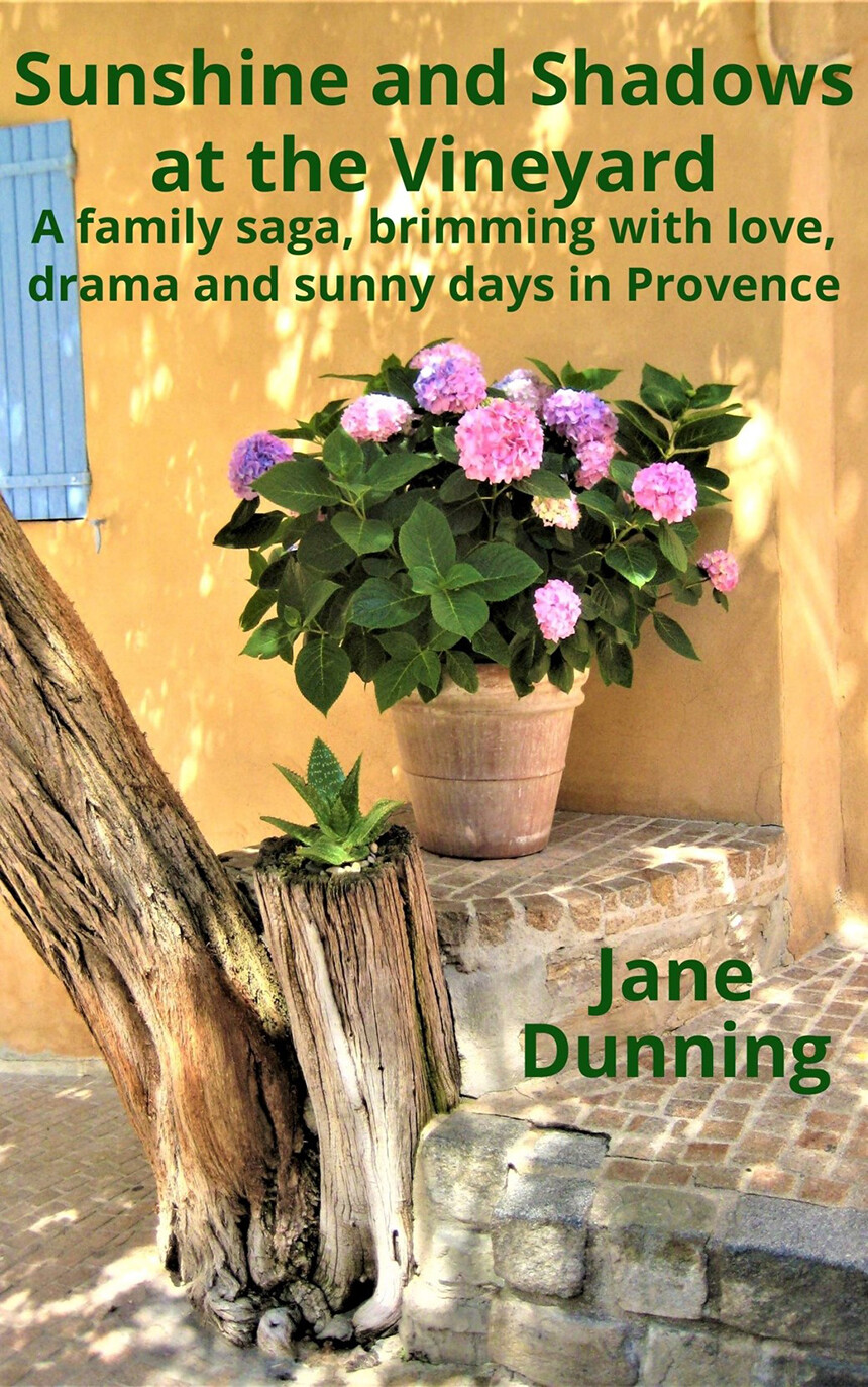 Summer Read Sunshine and Shadows at the Vineyard Jane Dunning