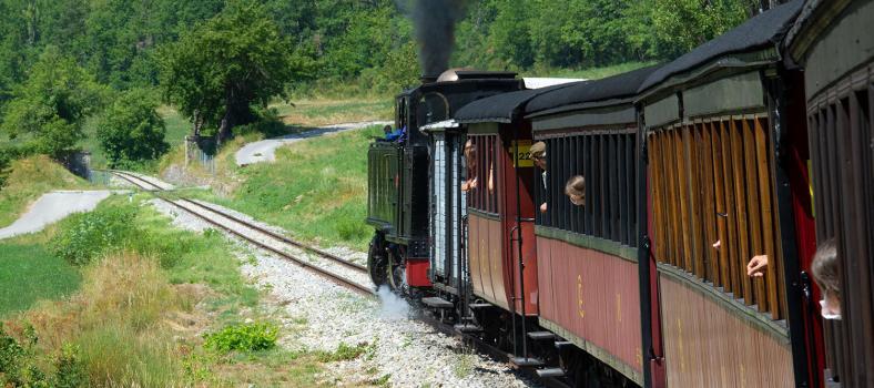 Vintage Steam Train Trip