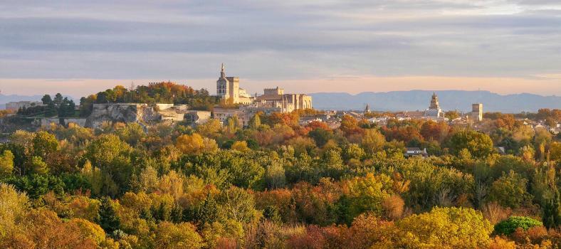 Avignon in the Fall light