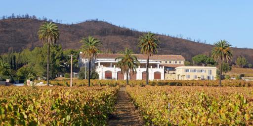 Wines of Provence Attracting Big Names