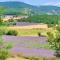 Summer Provence Lavender Fields-near-Sault