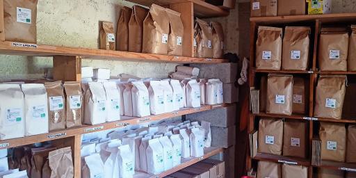 Flour Stock growing Ancient Grains Var Provence