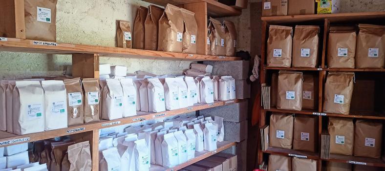 Flour Stock growing Ancient Grains Var Provence