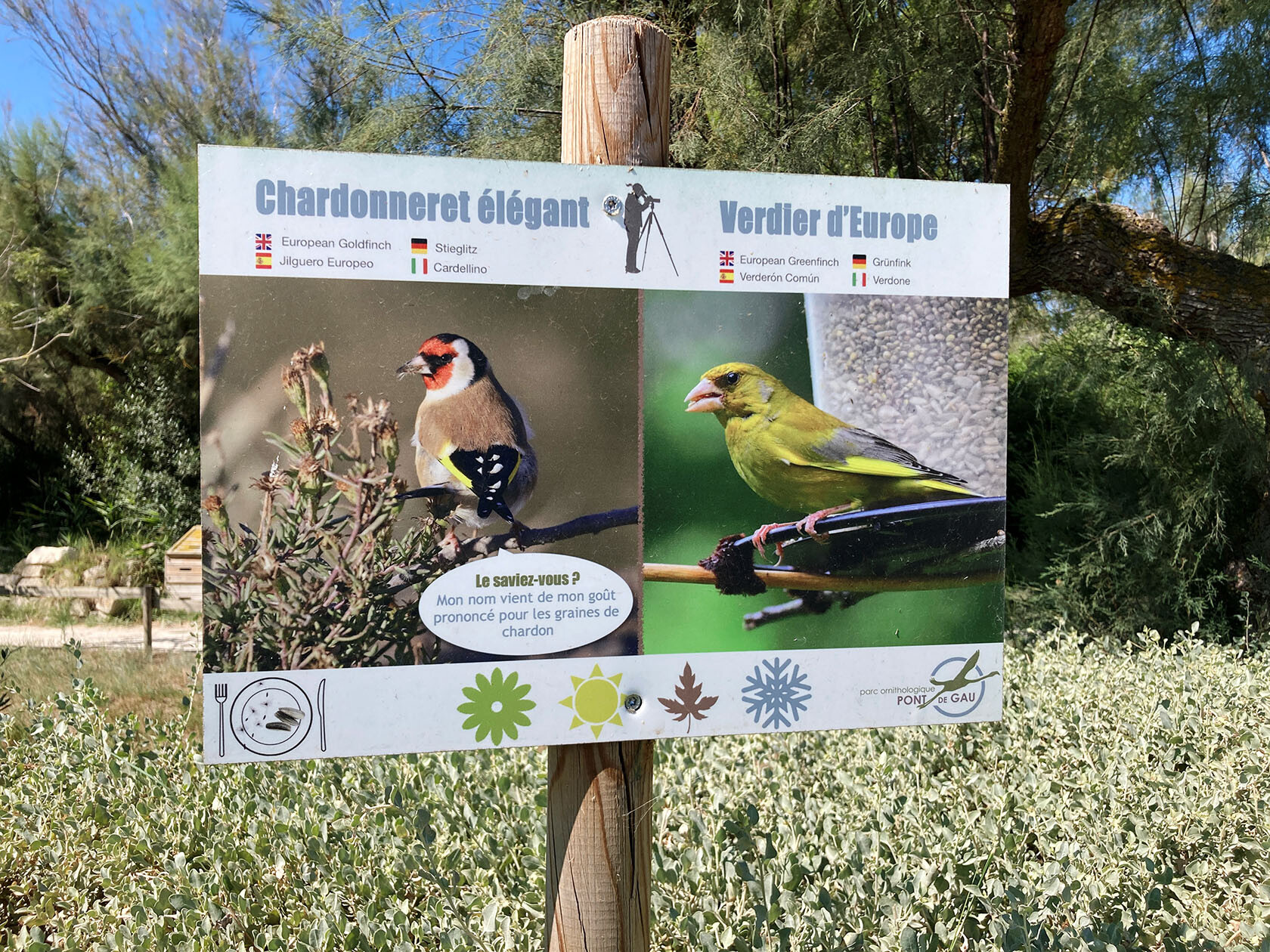 Parc ornithologique du Pont de Gau
