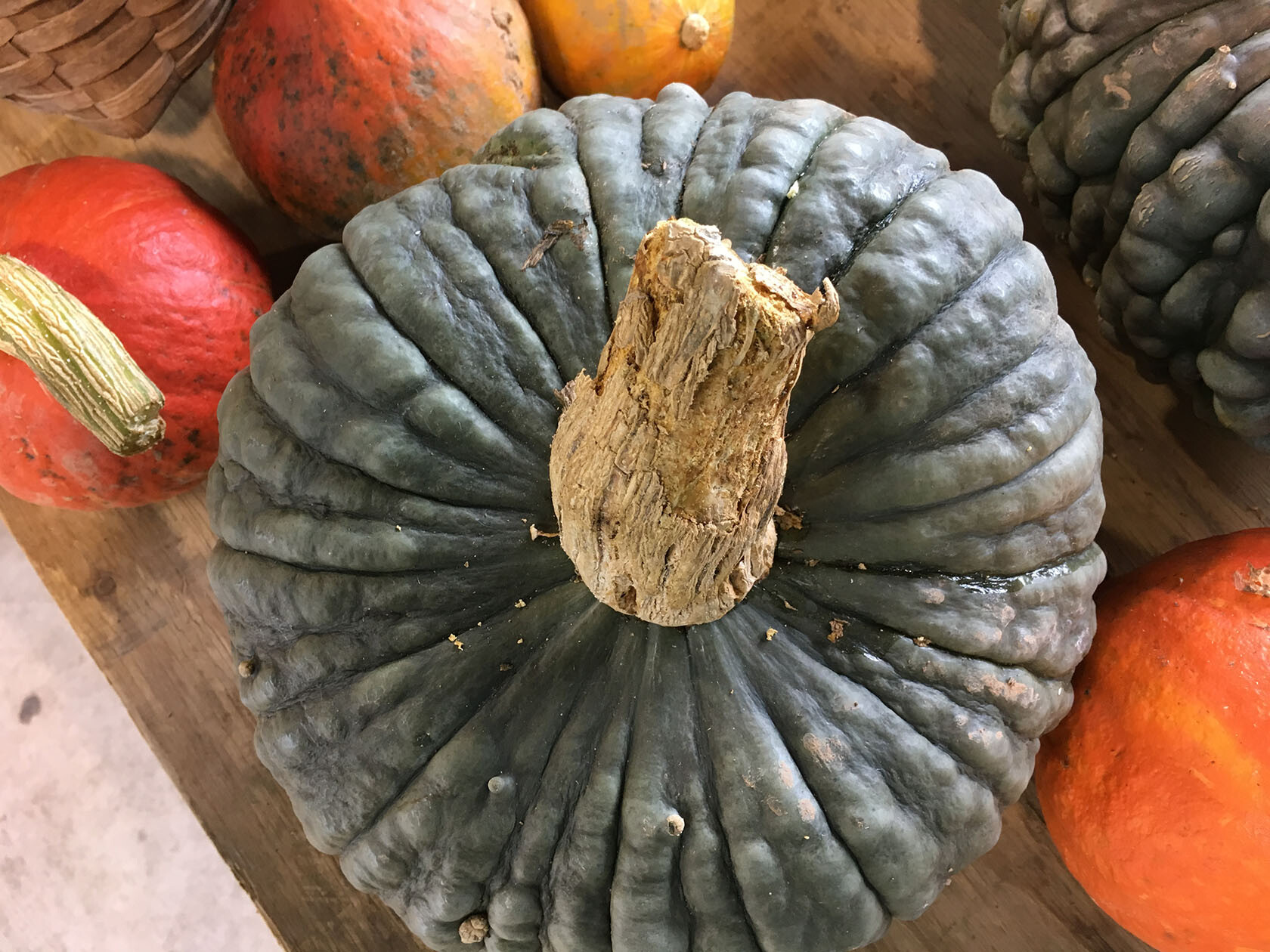 Fall Produce Pumpkin squash in Provence