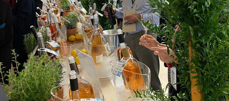 The Rosé Business in Provence What is it the Long Term Viability
