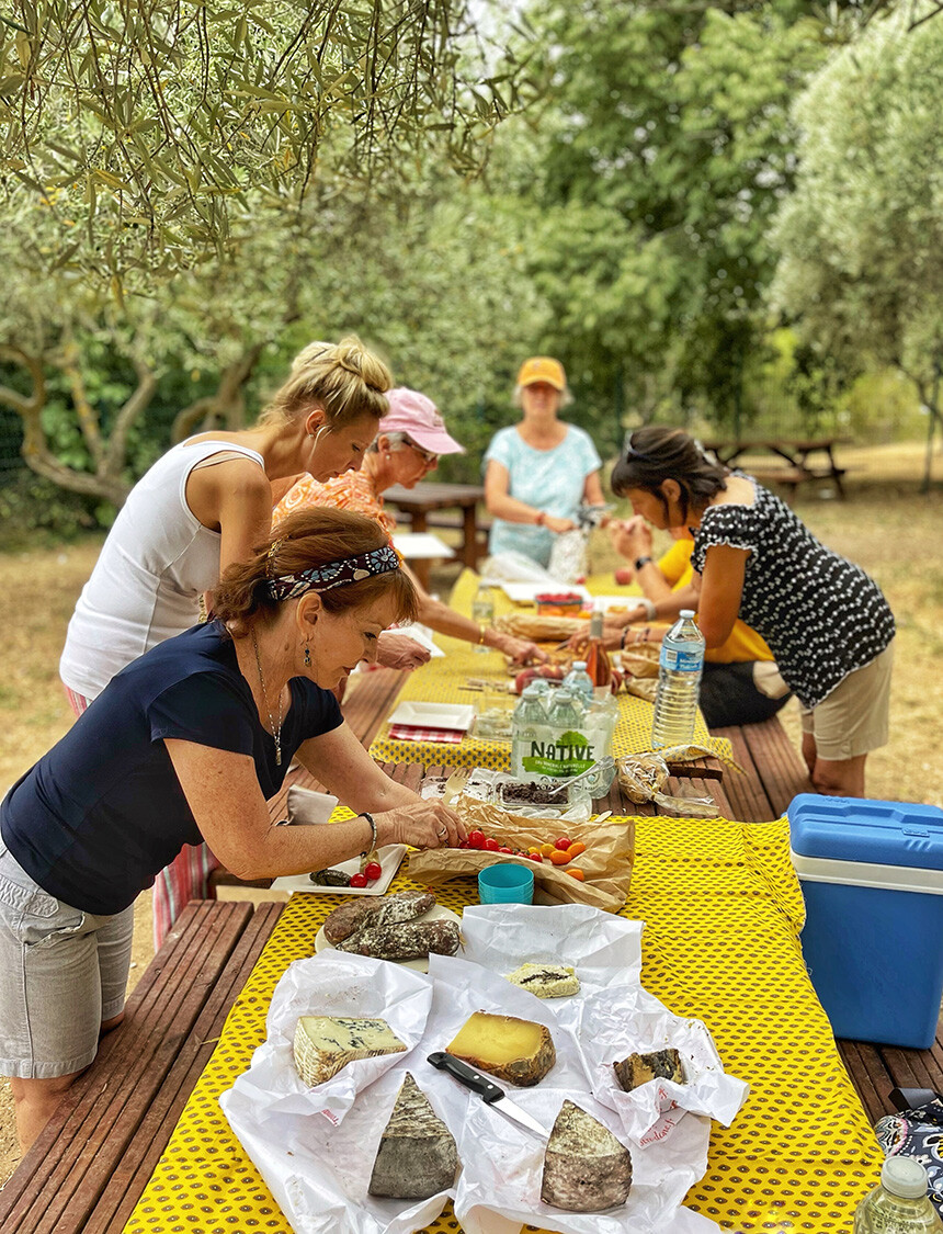 Small Group tour lunch Provence Lavender June Tour