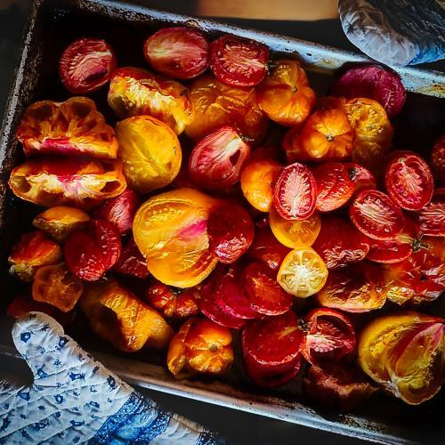 Tomato Confit Slow Roasting