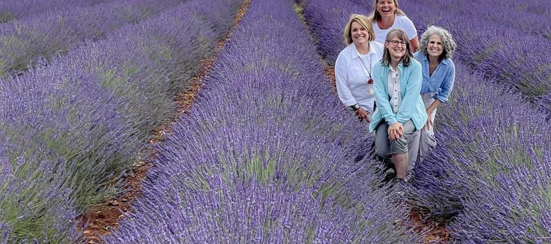 Provence Lavender Fields Tours