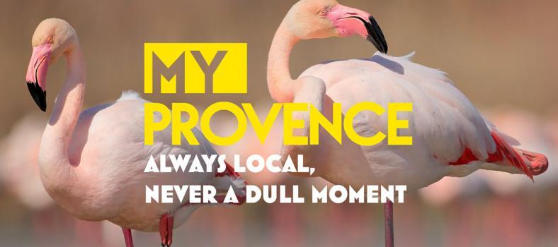 My Provence Website