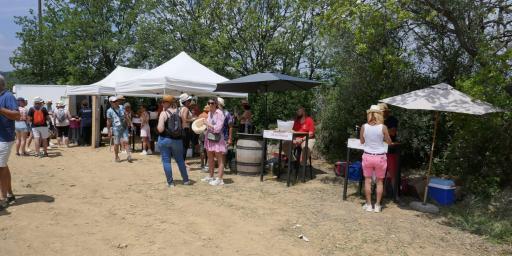 Walk and Wine Taste in Provence