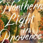 A Northern Light in Provence Book by Elizabeth Birkelund