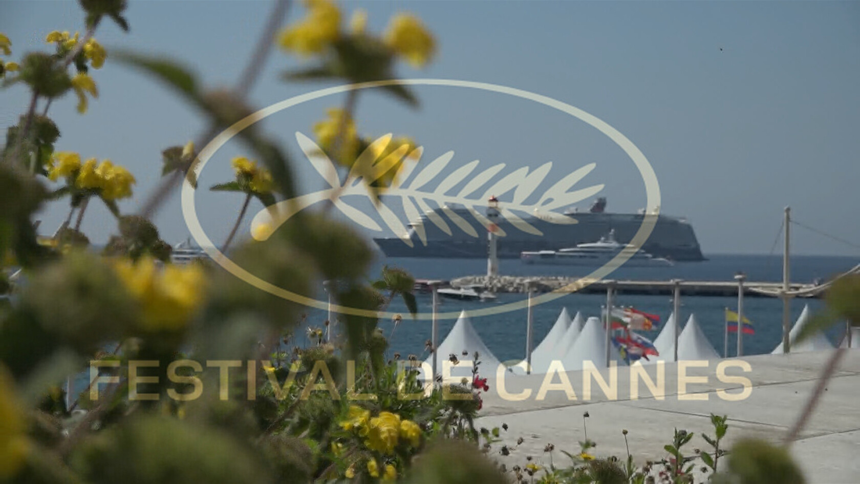 Festival de Cannes