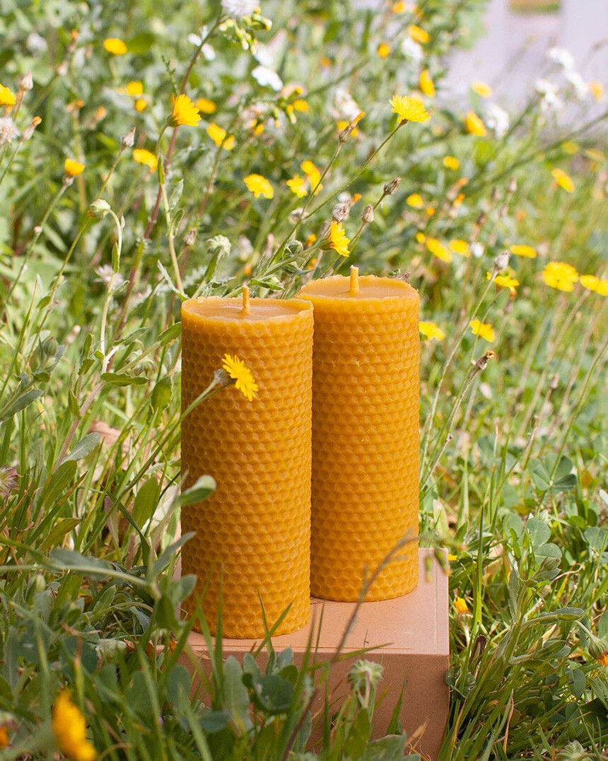 Beeswax Candles Apis Cera Pillars