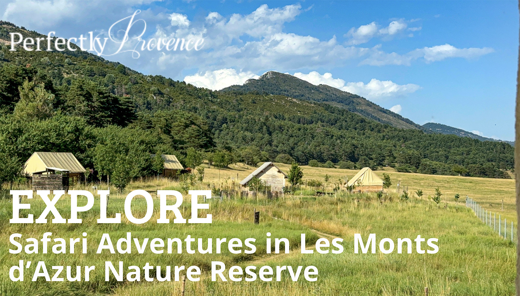 Video Cover La Réserve des Monts a Provencal Paradise