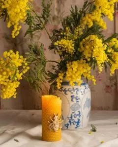 Beeswax Candles in a Traditional Pillar Shape